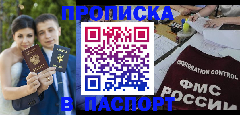 прописка иностранных граждан в Сертолово